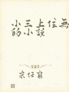 小三上位无三观的小说