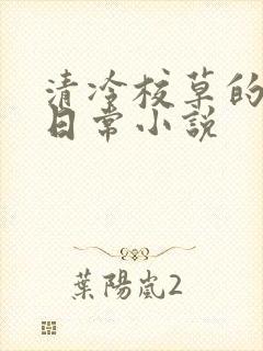 清冷校草的堕落日常小说