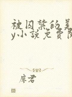 被囚禁的美人by小说免费阅读