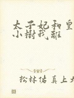 太子妃和皇上在小树我离