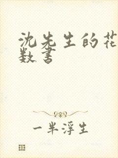 沈先生的花式调数书