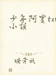 少年阿宾txt小说