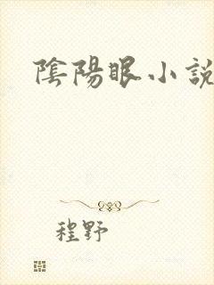 阴阳眼小说