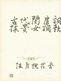古代闺房调教h揉贵女调教记