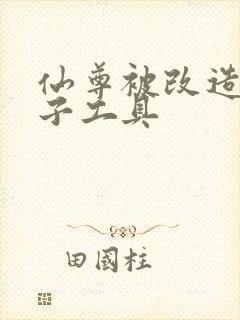 仙尊被改造成产子工具