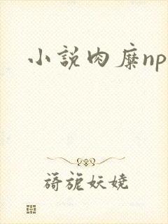 小说肉糜np