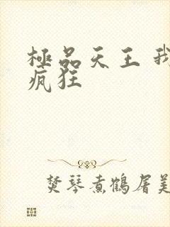 极品天王 我本疯狂