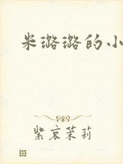 米璐璐的小说