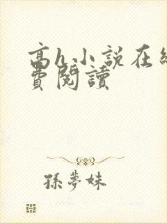 高h小说在线免费阅读