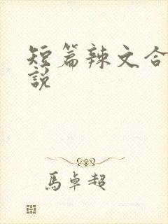 短篇辣文合集小说