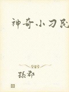 神奇小刁民