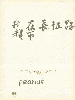 我在长征路上开超市