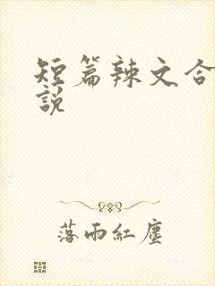 短篇辣文合集小说
