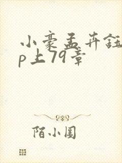 小豪孟卉钰慧三p上79章