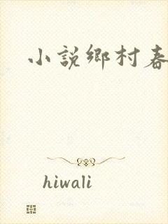 小说乡村春光
