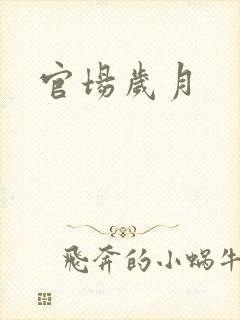 官场岁月