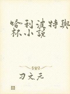 哈利波特与火焰杯小说