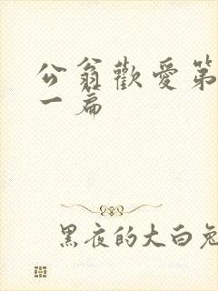 公翁欢爱第三十一篇