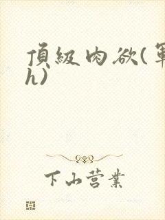 顶级肉欲(军高h)