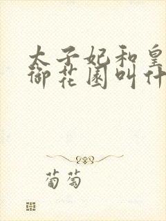 太子妃和皇帝在御花园叫什么小说