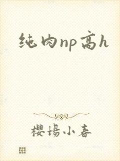 纯肉np高h