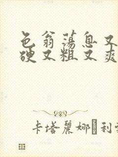 色翁荡息又大又硬又粗又爽电影