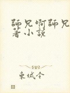 师兄啊师兄的原著小说