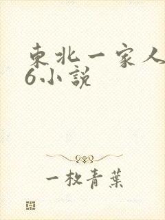 东北一家人1一6小说