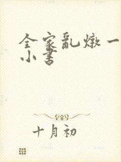 全家乱炖一锅烩小书