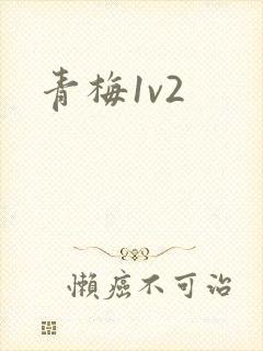 青梅1v2