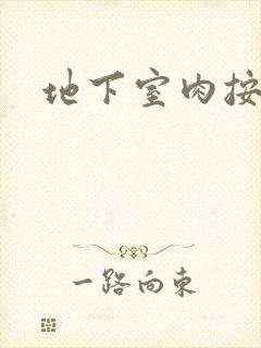 地下室肉按摩椅