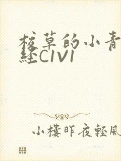 校草的小青梅不经C1V1