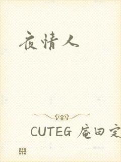 夜情人