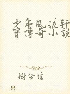 少年风流轩辕大宝传奇小说