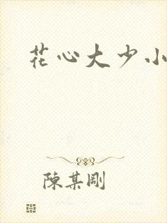 花心大少小说