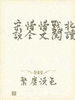 宋惜惜战北望小说全文阅读