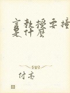 言教授要撞坏了是什么