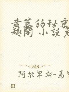 黄蓉的秘密 笔趣阁 小说免费阅读下载