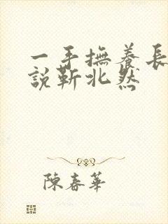 一手抚养长大小说靳北然