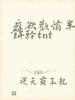 瘾欲欢愉半块小饼干tnt