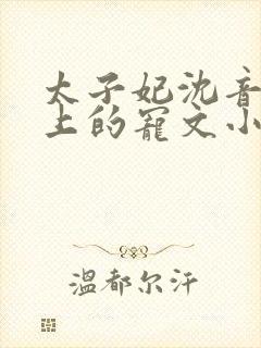 太子妃沈音和皇上的宠文小说