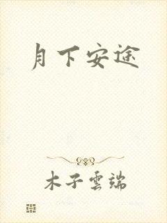 月下安途