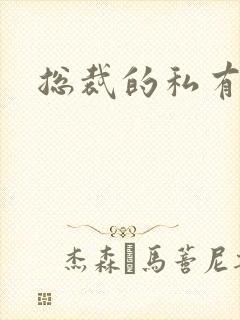 总裁的私有宝贝