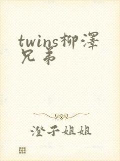 twins柳泽兄弟