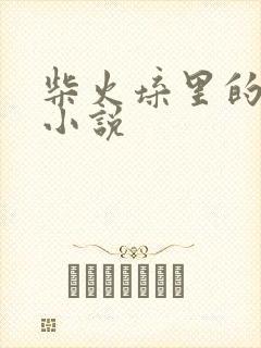 柴火垛里的疯狂小说