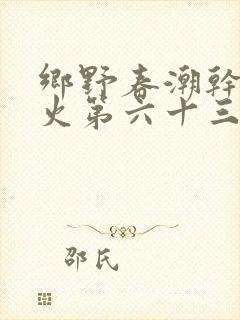 乡野春潮干柴烈火第六十三章