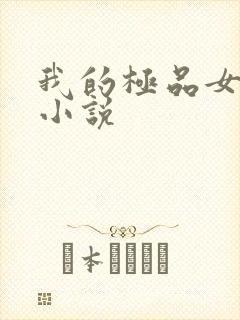 我的极品女老师小说