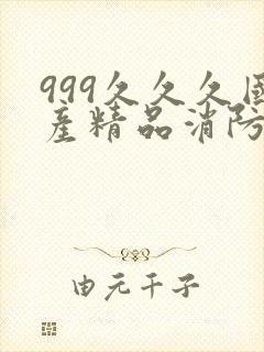 999久久久国产精品消防器材