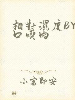 相对湿度BY大口吃肉