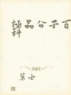 极品公子百度百科